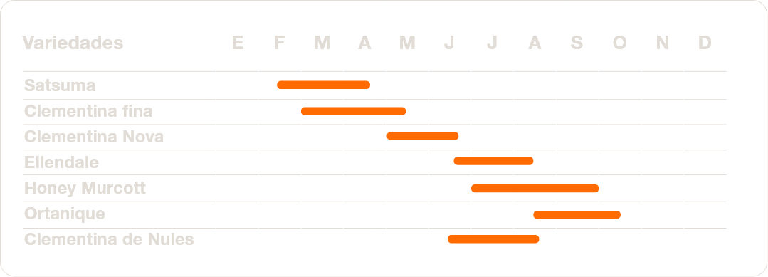 cronograma de cosecha:mandarina