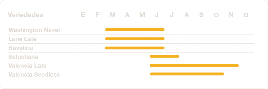 cronograma de cosecha:naranja